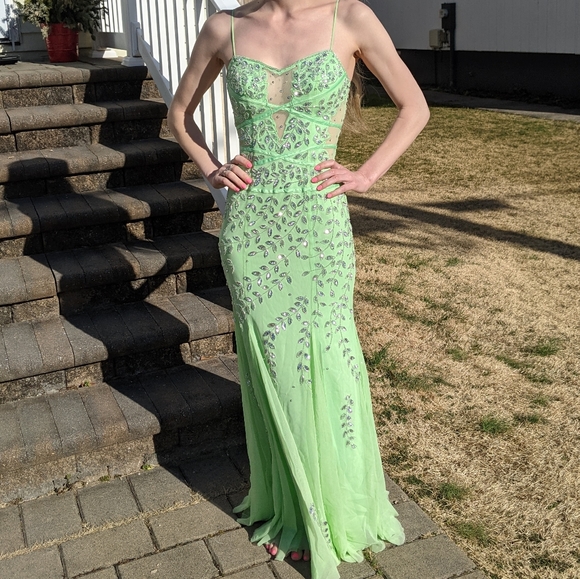 cache evening dresses